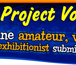 Free Project Voyeur